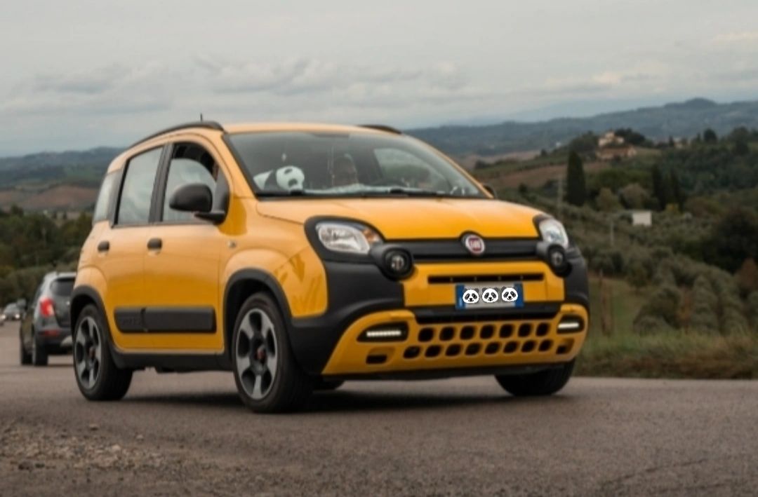 Panda 4x4 / Cross / City Cross / Trekking (Terza Serie, 3)